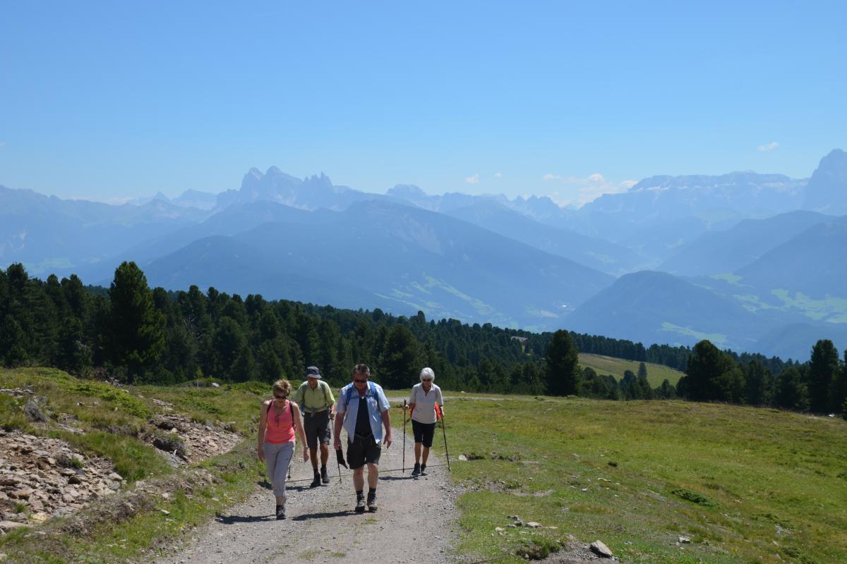 Latschenoelbrennerei und Platzer Alm 23.07.2019